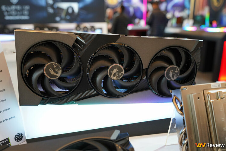 DSC09849_1280 logo mau.jpg