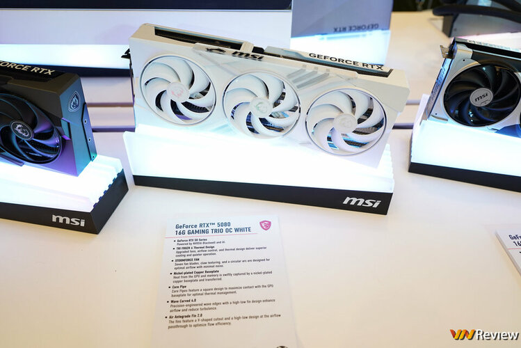 DSC09880_1280 logo mau.jpg