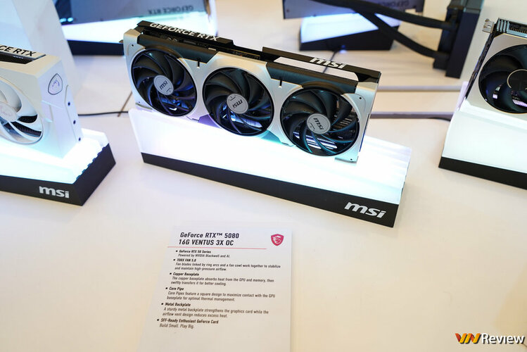 DSC09881_1280 logo mau.jpg